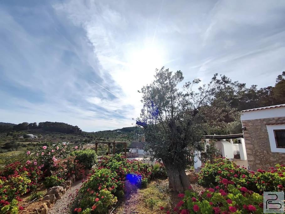 Casa Can Lluc Con Piscina, Jardin Y Vista Al Campo Sant Miquel De Balansat Luaran gambar