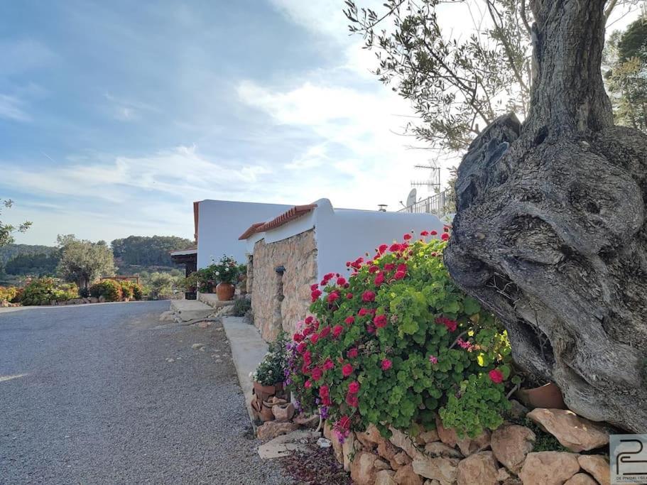 Casa Can Lluc Con Piscina, Jardin Y Vista Al Campo Sant Miquel De Balansat Luaran gambar