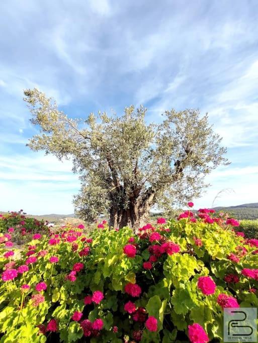 Casa Can Lluc Con Piscina, Jardin Y Vista Al Campo Sant Miquel De Balansat Luaran gambar